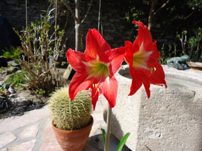 DSC00458.jpg