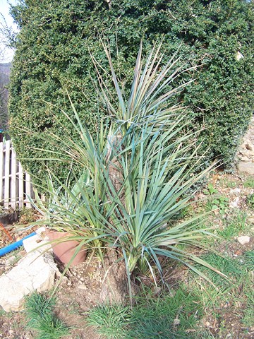 100_4158 (Copier).JPG