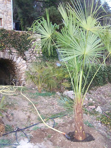 100_4149 (Copier).JPG