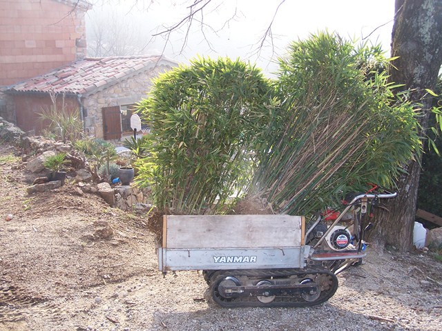 100_4153 (Copier).JPG