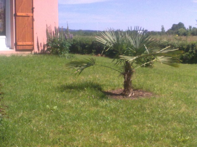 01062009183 [].jpg