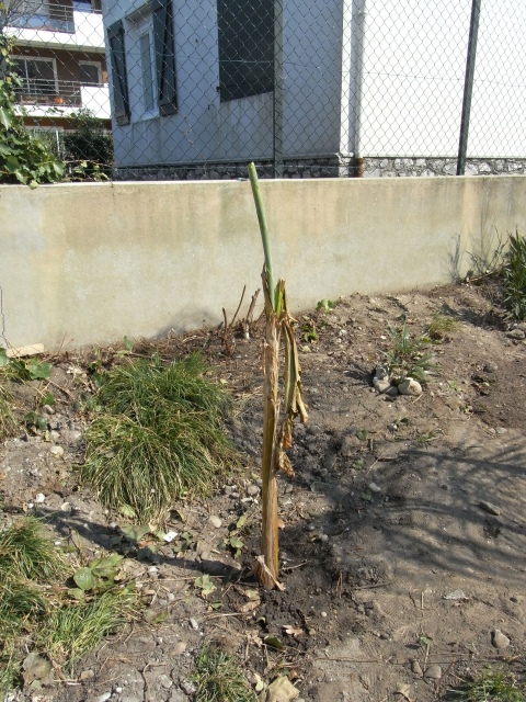 RIMG0481bb.jpg