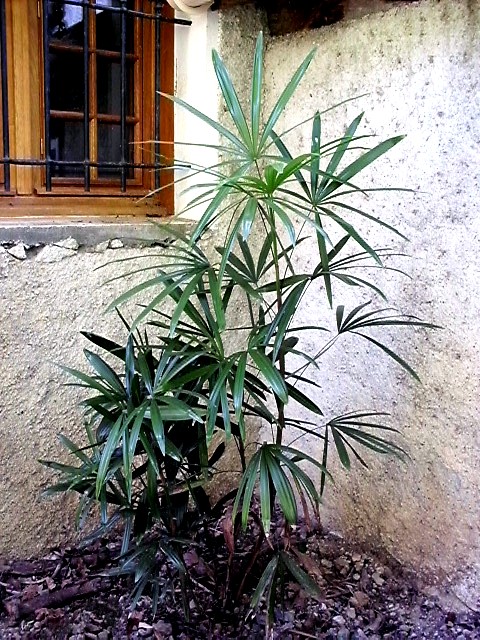 HPIM0623.JPG