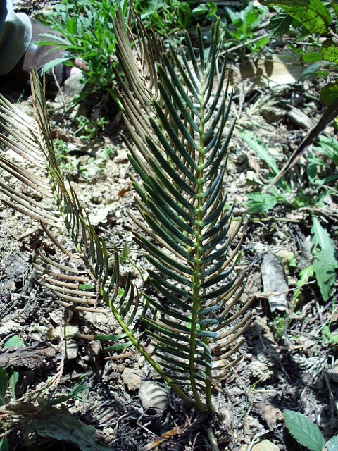 HPIM0634.JPG