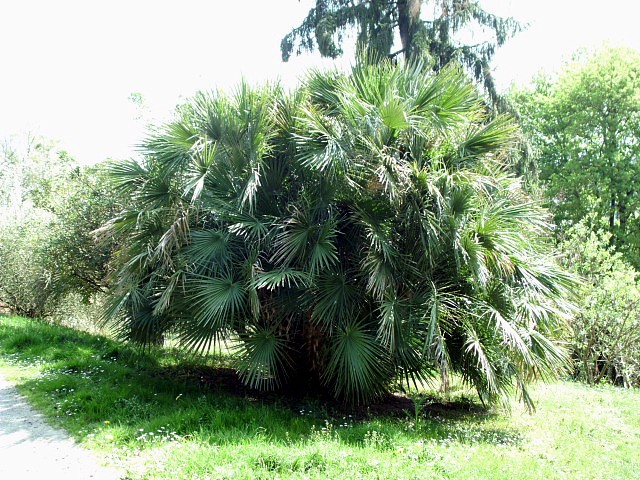 HPIM0641.JPG