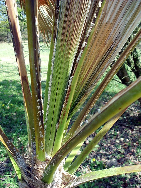 HPIM0637.JPG