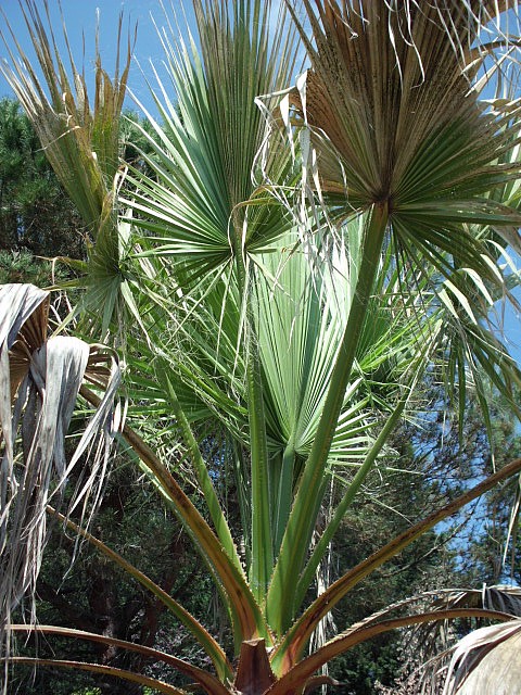 HPIM0638.JPG