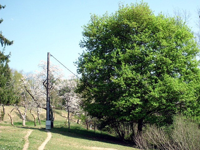 HPIM0644.JPG