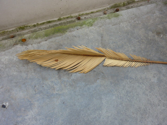 P1050283.JPG
