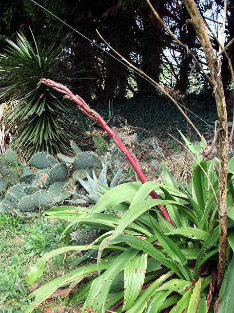 HPIM0652.JPG