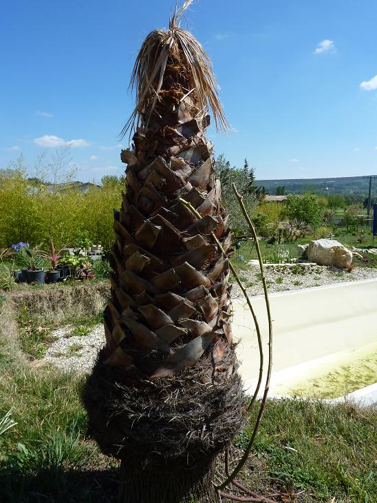 P1050428bis.jpg