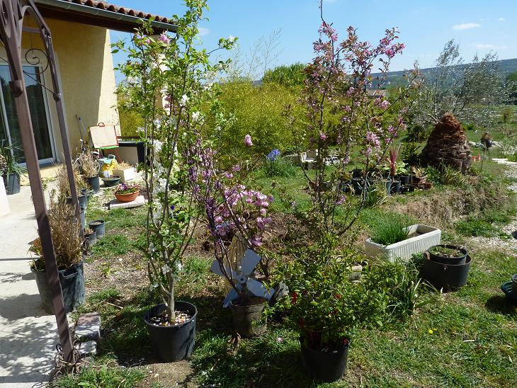 P1050439bis.jpg