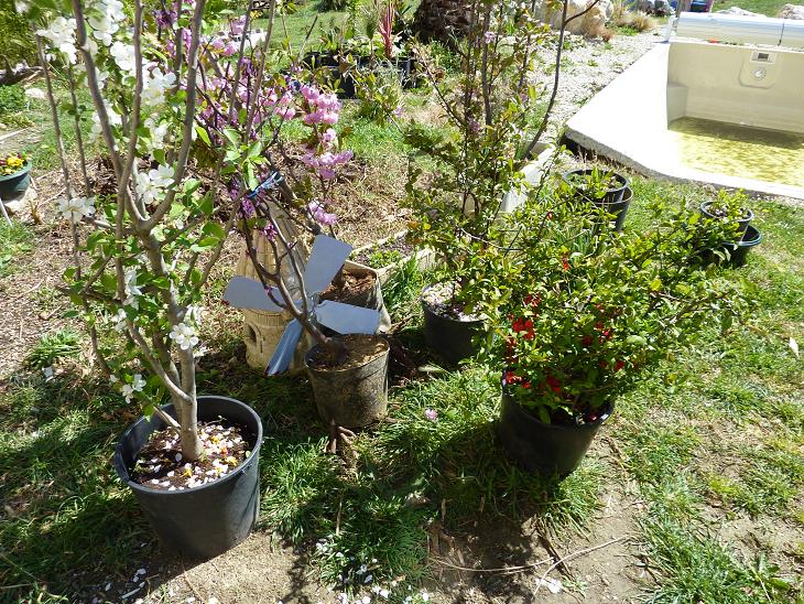P1050440bis.jpg
