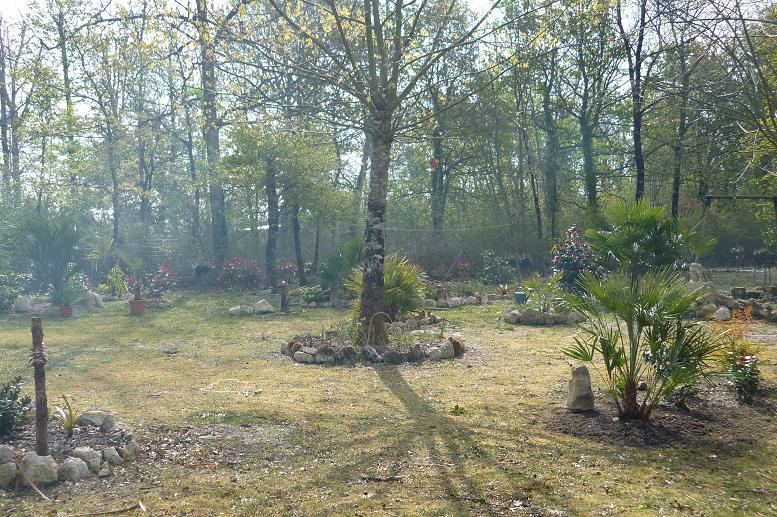 037.JPG
