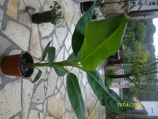 IMGP1229.JPG