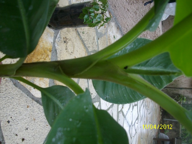 IMGP1232.JPG