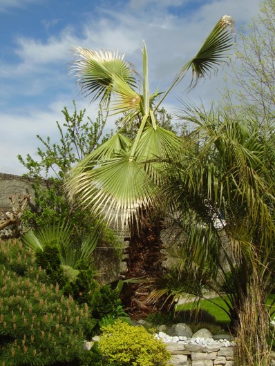 073.13 avril 2012 (1).JPG