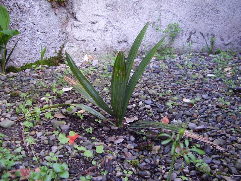 004.13 avril 2012.JPG