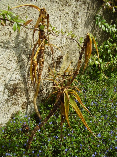 007.13 avril 2012.JPG