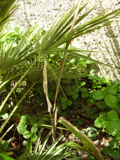 010.13 avril 2012.JPG