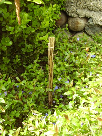 023.13 avril 2012.JPG