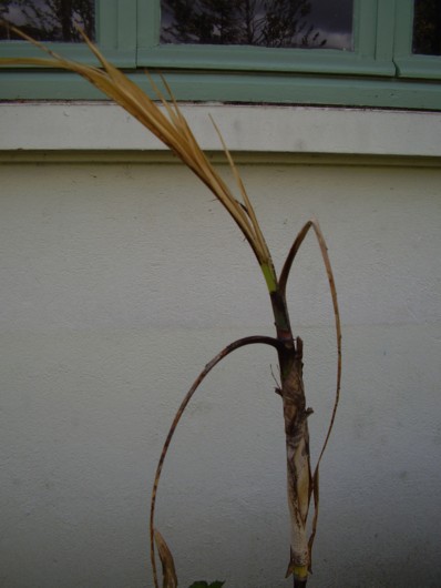 022.13 avril 2012.JPG