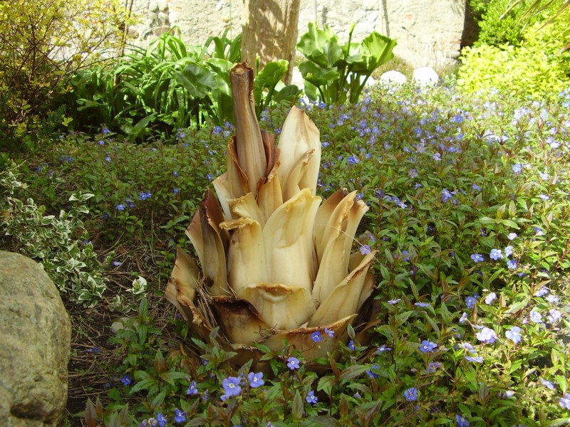 024.13 avril 2012.JPG