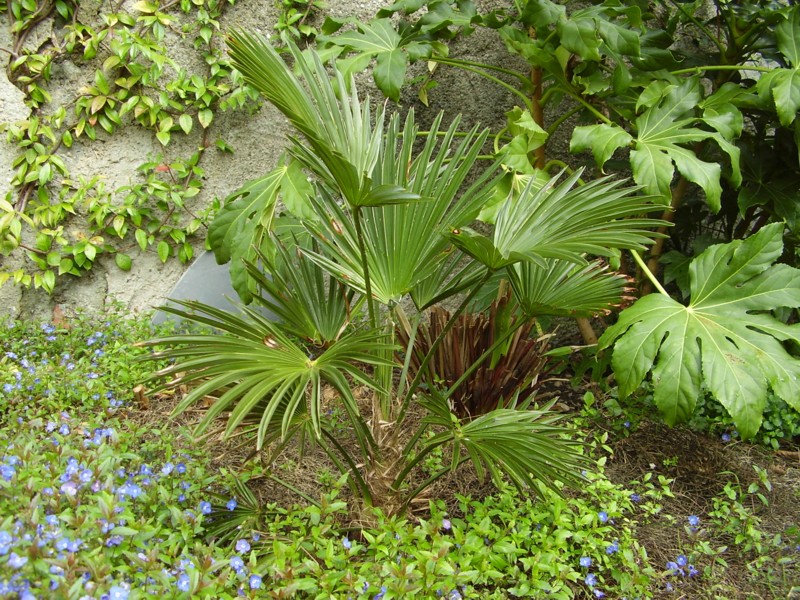 014.13 avril 2012.JPG