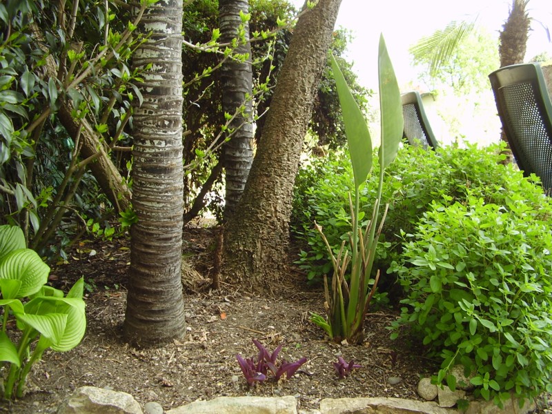 028.13 avril 2012.JPG