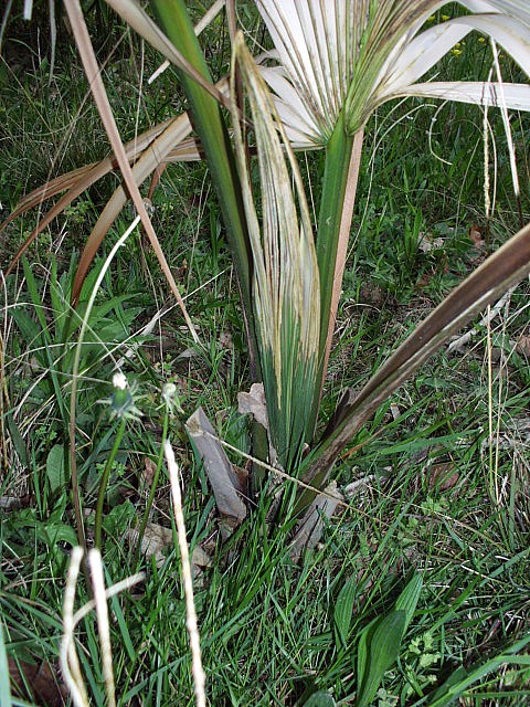 HPIM0670.JPG