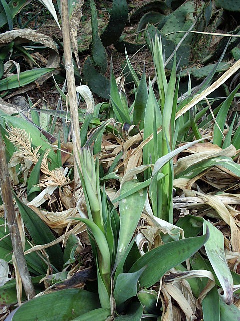 HPIM0672.JPG