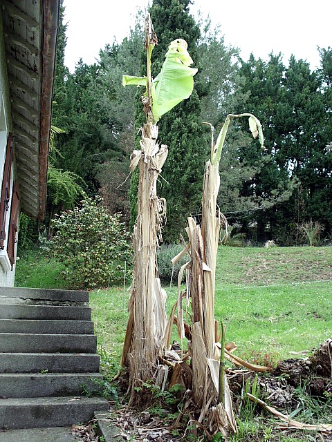 HPIM0676.JPG