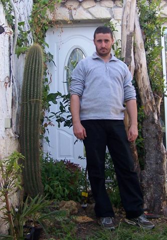 pachycereus pringleii verdatre [640x480].jpg