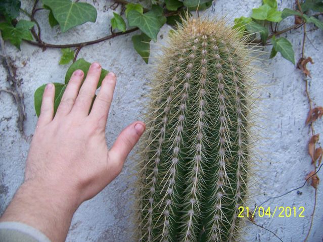 100_9689 [640x480].JPG