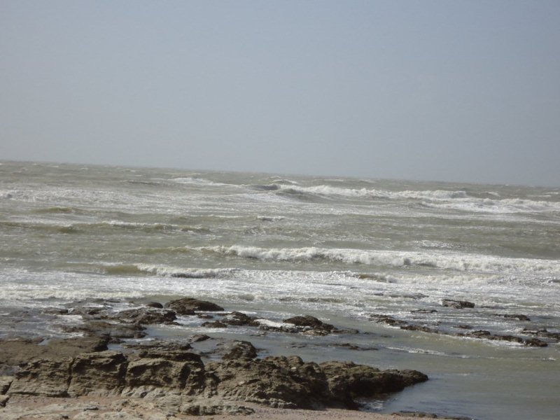 DSC00533.jpg
