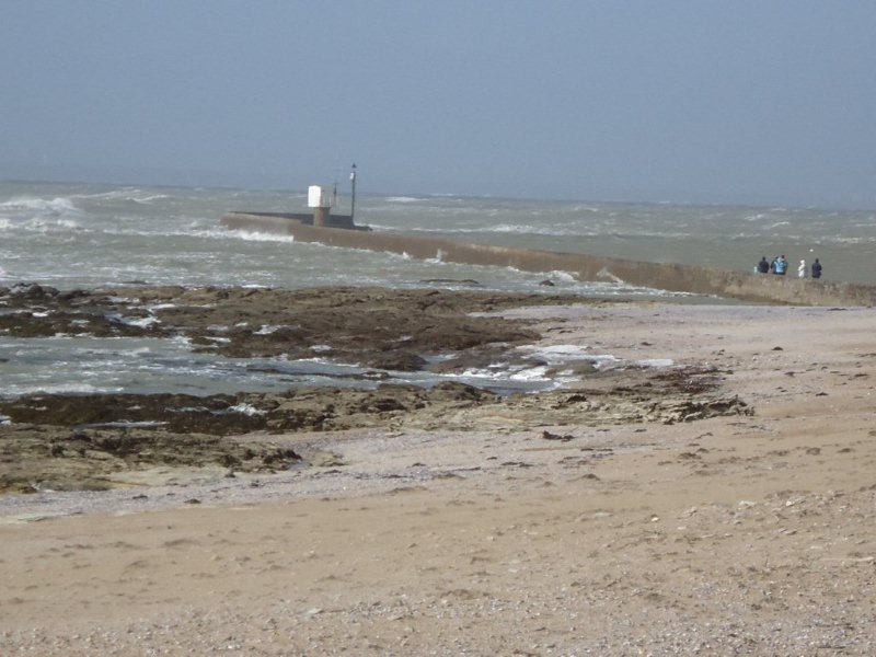 DSC00532.jpg