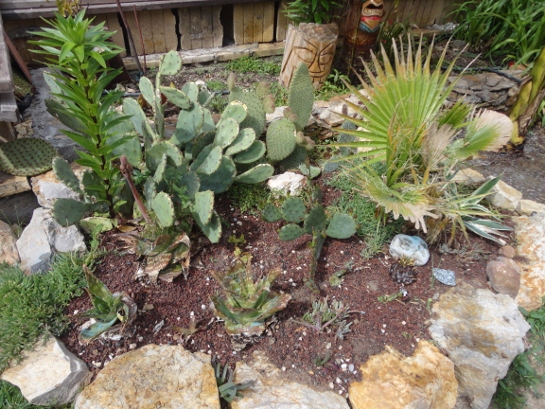 DSC02208 (545x409).jpg