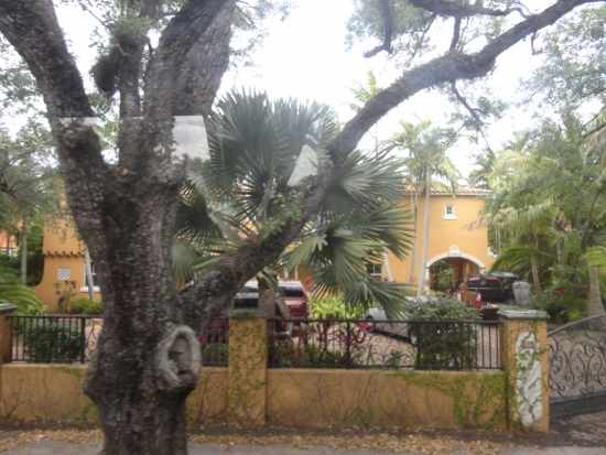 DSC01956 (550x413).jpg