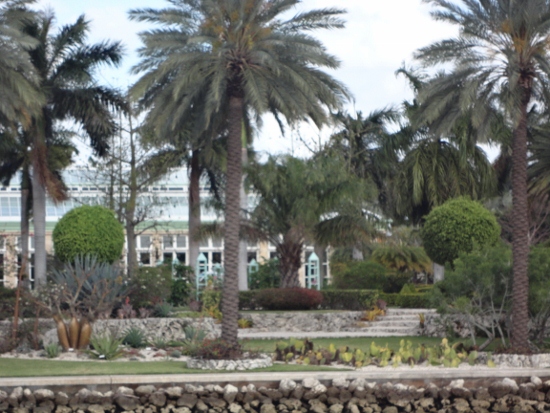 DSC02037 (550x413).jpg